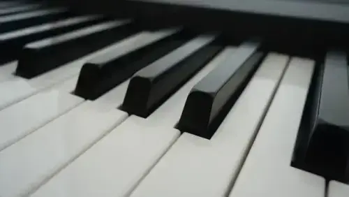 Piano-Moving--in-Overton-Nevada-piano-moving-overton-nevada.jpg-image